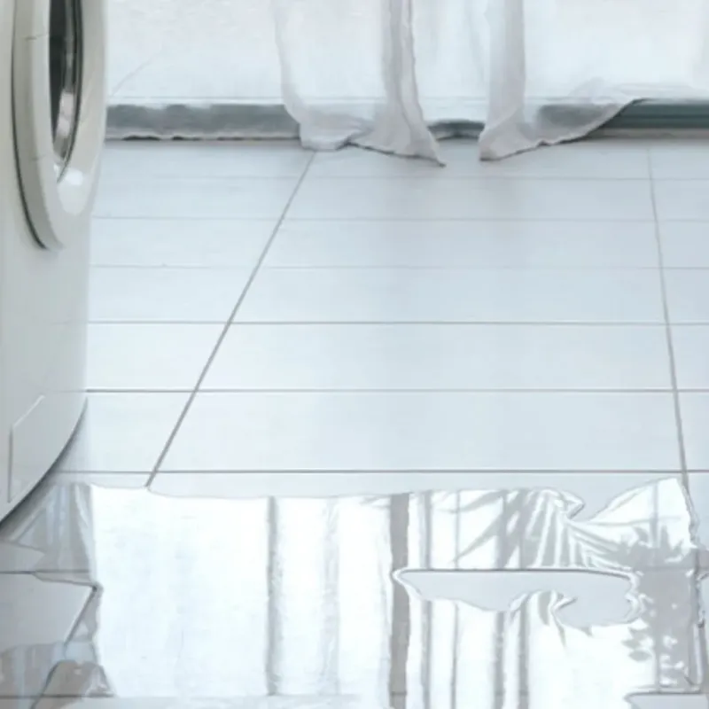 Appliance Leak Cleanup in Northfield, NH