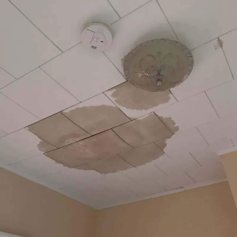 Ceiling Water Damage Repair in Northfield, NH