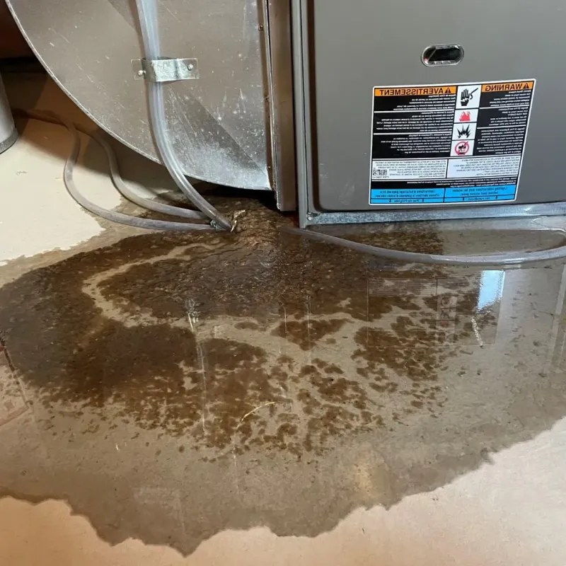 Pipe Burst and Leak Restoration in Northfield, NH